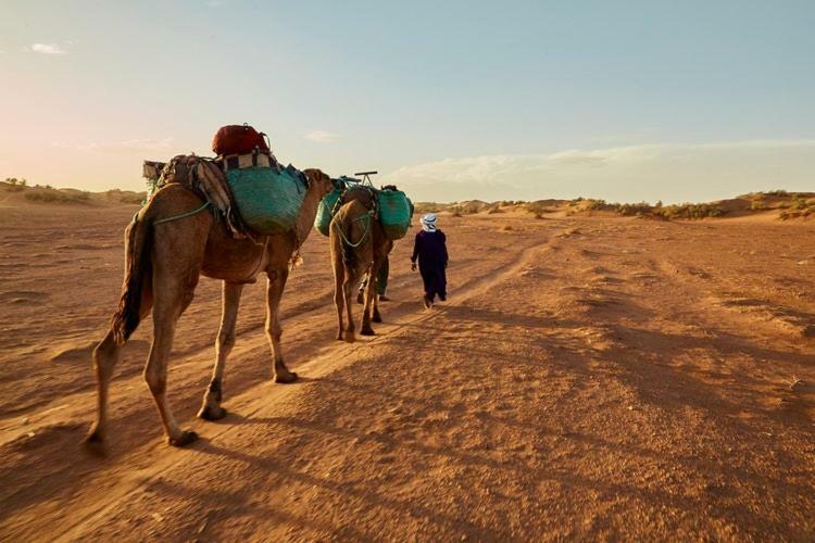 Sahara Camp 호텔 아돌루이니 외부 사진